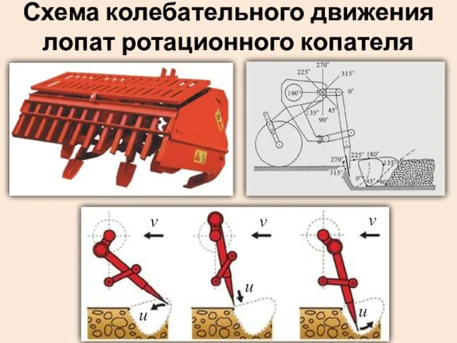 Схема колебательного движения лопат ротационного копателя v v v u u u