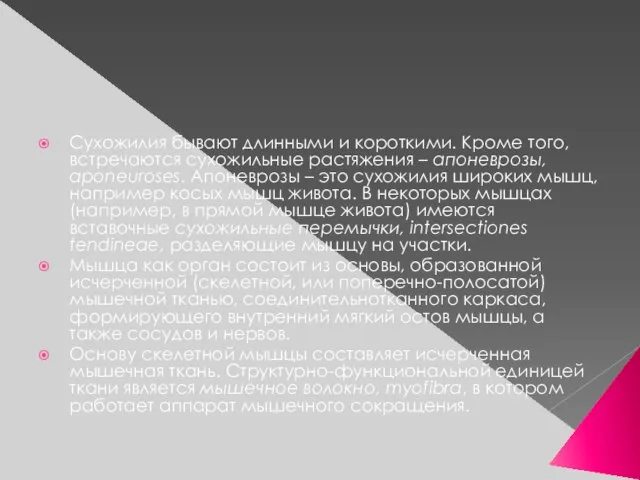 Сухожилия бывают длинными и короткими. Кроме того, встречаются сухожильные растяжения –