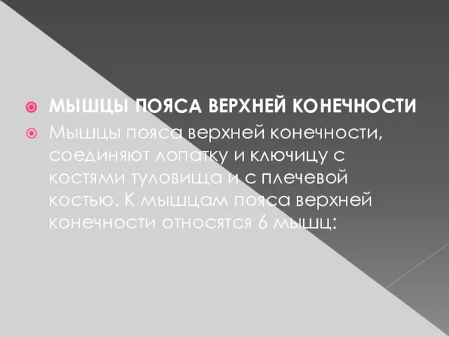 МЫШЦЫ ПОЯСА ВЕРХНЕЙ КОНЕЧНОСТИ Мышцы пояса верхней конечности, соединяют лопатку и