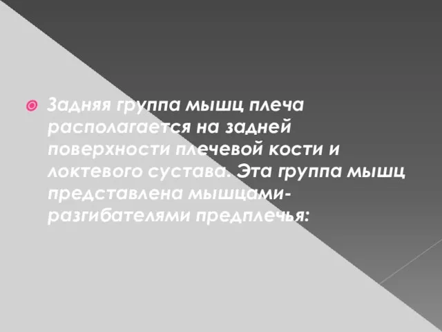 Задняя группа мышц плеча располагается на задней поверхности плечевой кости и