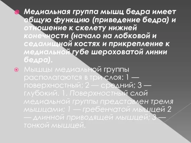 Медиальная группа мышц бедра имеет общую функцию (приведение бедра) и отношение