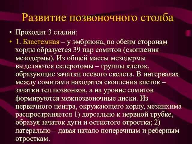 Развитие позвоночного столба Проходит 3 стадии: 1. Бластемная – у эмбриона,