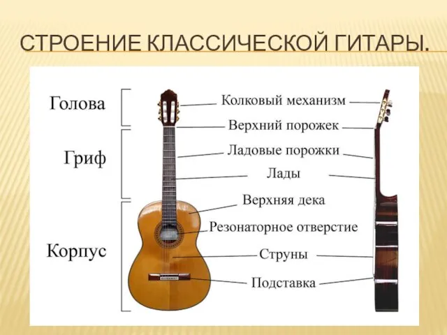 СТРОЕНИЕ КЛАССИЧЕСКОЙ ГИТАРЫ.