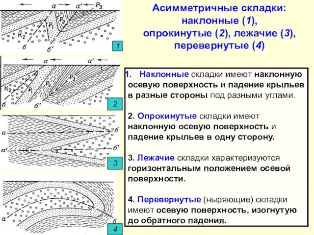 Асимметричные складки: наклонные (1), опрокинутые (2), лежачие (3), перевернутые (4) 1