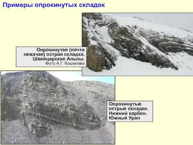 Опрокинутые острые складки. Нижний карбон. Южный Урал Примеры опрокинутых складок Опрокинутая