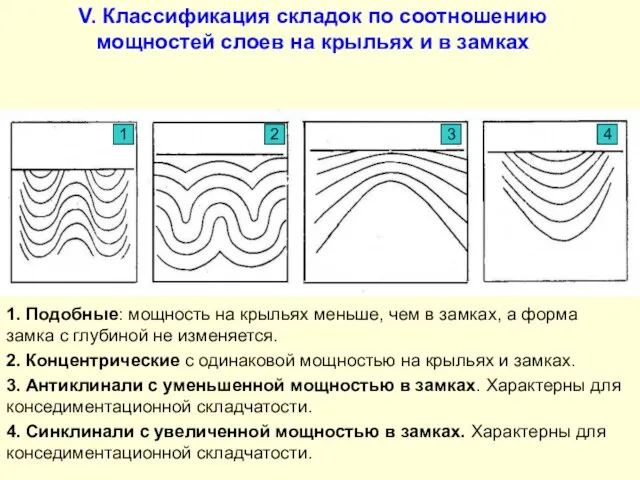 V. Классификация складок по соотношению мощностей слоев на крыльях и в