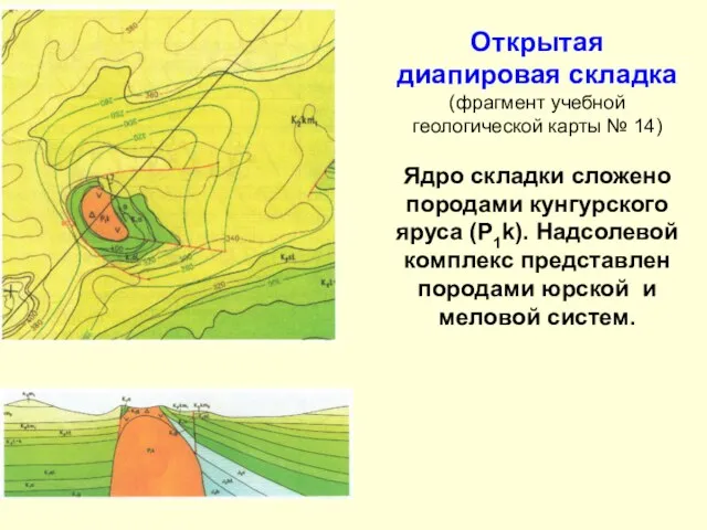 Открытая диапировая складка (фрагмент учебной геологической карты № 14) Ядро складки