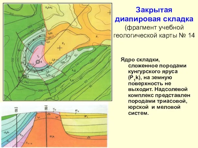 Закрытая диапировая складка (фрагмент учебной геологической карты № 14 Ядро складки,