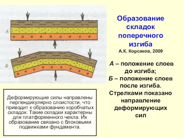 Образование складок поперечного изгиба А.К. Корсаков, 2009 А – положение слоев