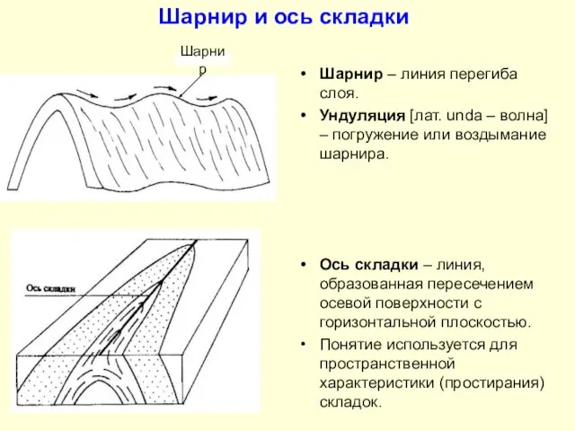 Шарнир и ось складки Шарнир – линия перегиба слоя. Ундуляция [лат.
