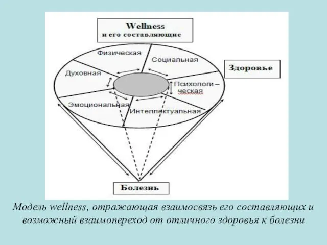 Модель wellness, отражающая взаимосвязь его составляющих и возможный взаимопереход от отличного здоровья к болезни