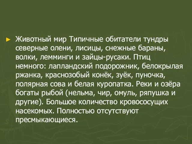 Животный мир Типичные обитатели тундры северные олени, лисицы, снежные бараны, волки,