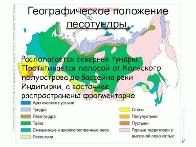 Географическое положение лесотундры. Располагается севернее тундры. Протягивается полосой от Кольского полуострова