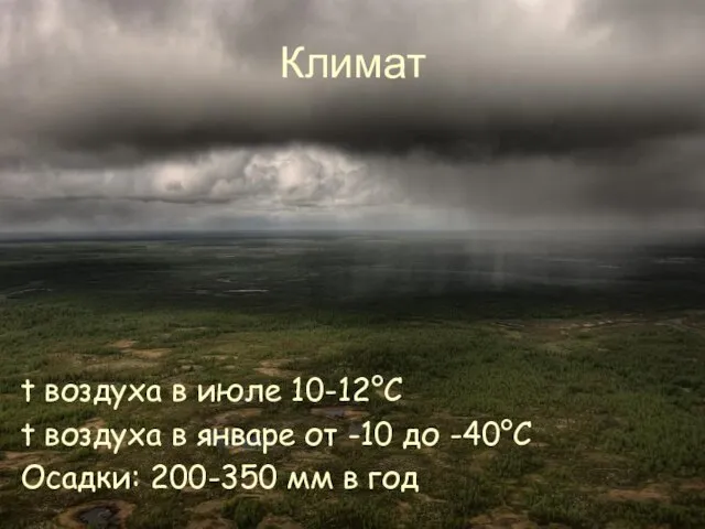 Климат t воздуха в июле 10-12°C t воздуха в январе от