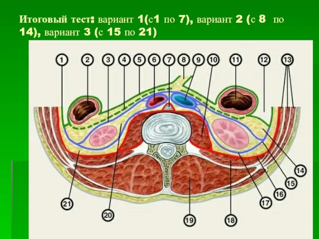 Итоговый тест: вариант 1(с1 по 7), вариант 2 (с 8 по