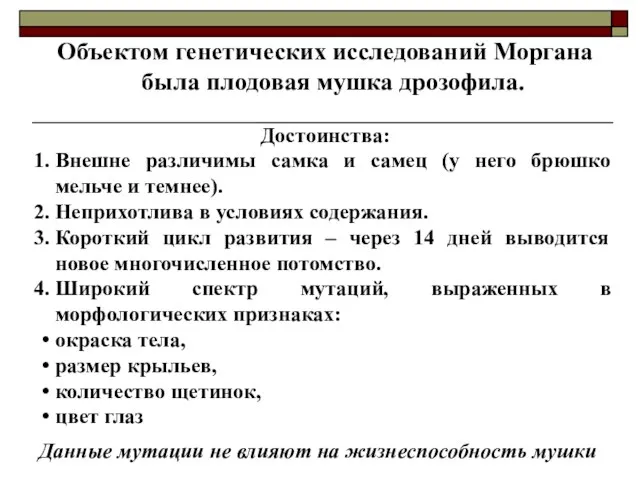 Объектом генетических исследований Моргана была плодовая мушка дрозофила. Достоинства: Внешне различимы