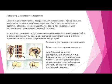 Лабораторные методы исследования Основным диагностическим лабораторным исследованием, применяемым в неврологии, является