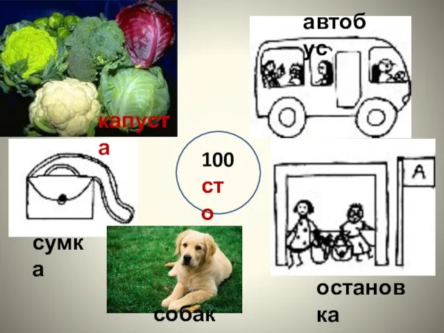 капуста сумка автобус остановка собака 100 сто