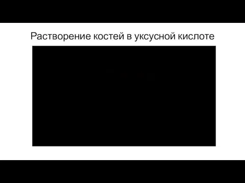 Растворение костей в уксусной кислоте