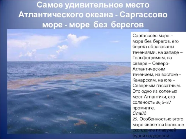 Самое удивительное место Атлантического океана - Саргассово море - море без