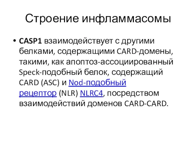 Строение инфламмасомы CASP1 взаимодействует с другими белками, содержащими CARD-домены, такими, как