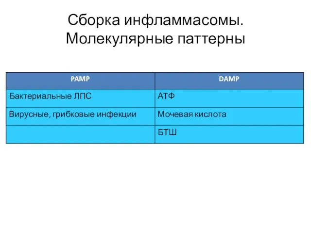 Сборка инфламмасомы. Молекулярные паттерны