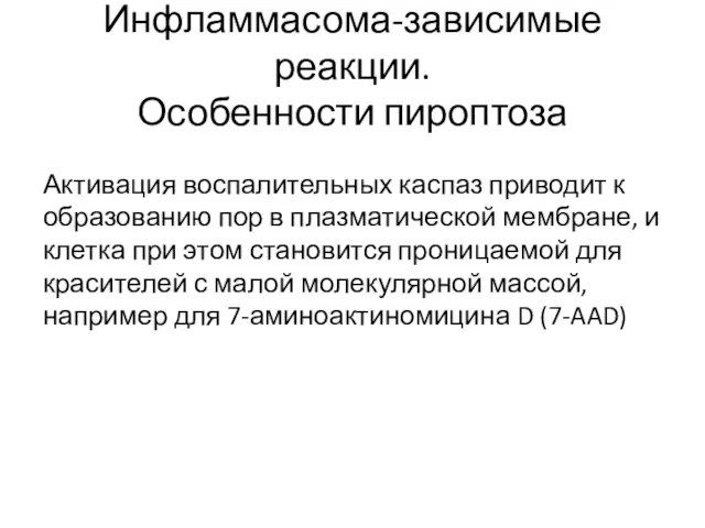 Инфламмасома-зависимые реакции. Особенности пироптоза Активация воспалительных каспаз приводит к образованию пор