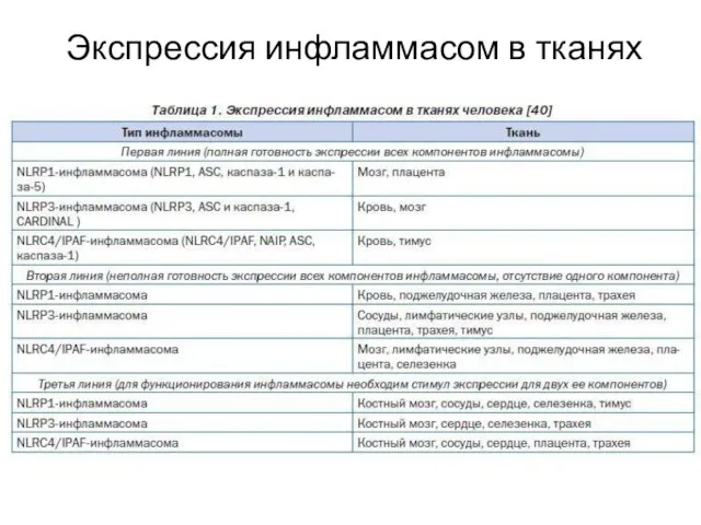 Экспрессия инфламмасом в тканях