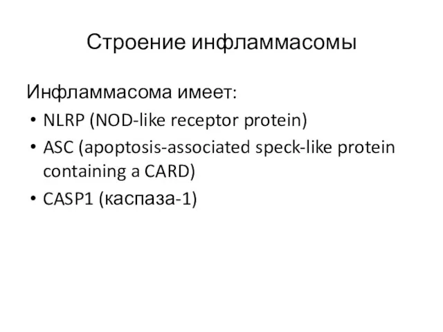 Строение инфламмасомы Инфламмасома имеет: NLRP (NOD-like receptor protein) ASC (apoptosis-associated speck-like