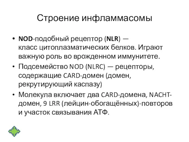 Строение инфламмасомы NOD-подобный рецептор (NLR) — класс цитоплазматических белков. Играют важную