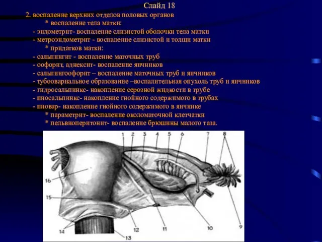 Слайд 18 2. воспаление верхних отделов половых органов * воспаление тела