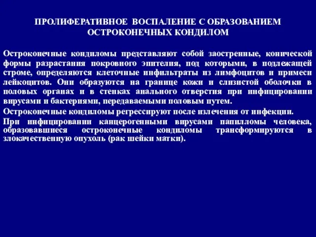 Остроконечные кондиломы представляют собой заостренные, конической формы разрастания покровного эпителия, под