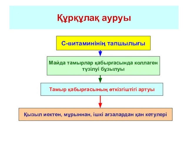 Құрқұлақ ауруы С-витаминінің тапшылығы Майда тамырлар қабырғасында коллаген түзілуі бұзылуы Тамыр