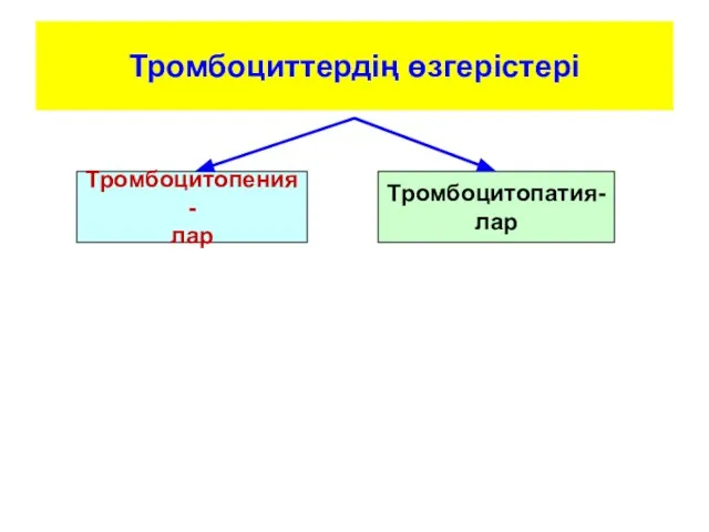 Тромбоциттердің өзгерістері Тромбоцитопения- лар Тромбоцитопатия- лар