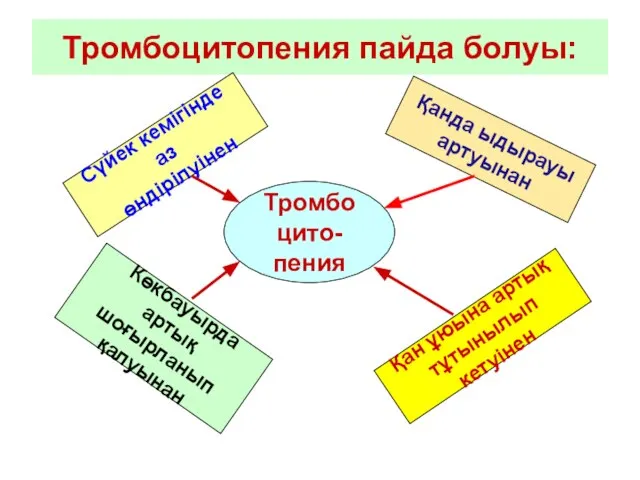 Тромбоцитопения пайда болуы: Сүйек кемігінде аз өндірілуінен Тромбоцито- пения Қанда ыдырауы