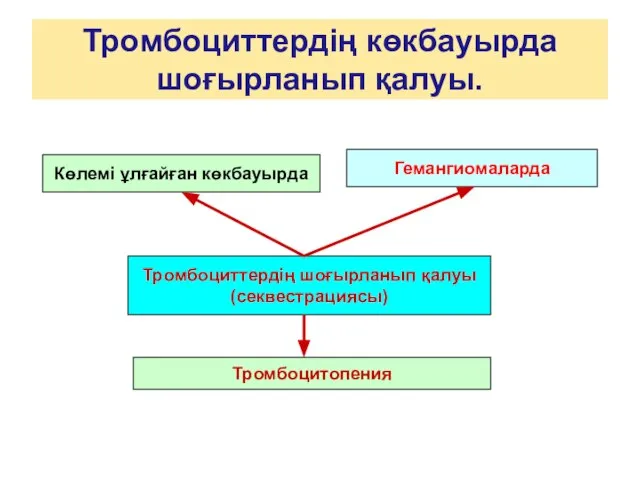 Тромбоциттердің көкбауырда шоғырланып қалуы. Көлемі ұлғайған көкбауырда Гемангиомаларда Тромбоциттердің шоғырланып қалуы (секвестрациясы) Тромбоцитопения