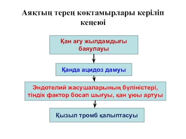 Аяқтың терең көктамырлары керіліп кеңеюі Қан ағу жылдамдығы баяулауы Қанда ацидоз