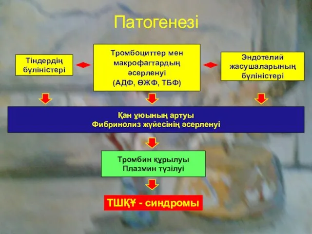 Патогенезі Тіндердің бүліністері Тромбоциттер мен макрофагтардың әсерленуі (АДФ, ӨЖФ, ТБФ) Эндотелий