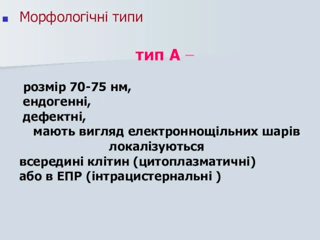 Морфологічні типи тип А – розмір 70-75 нм, ендогенні, дефектні, мають