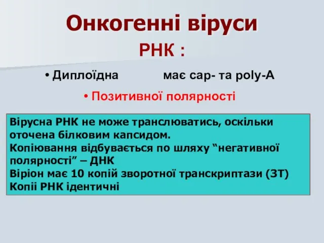 Онкогенні віруси РНК : Диплоїдна має cap- та poly-А Позитивної полярності