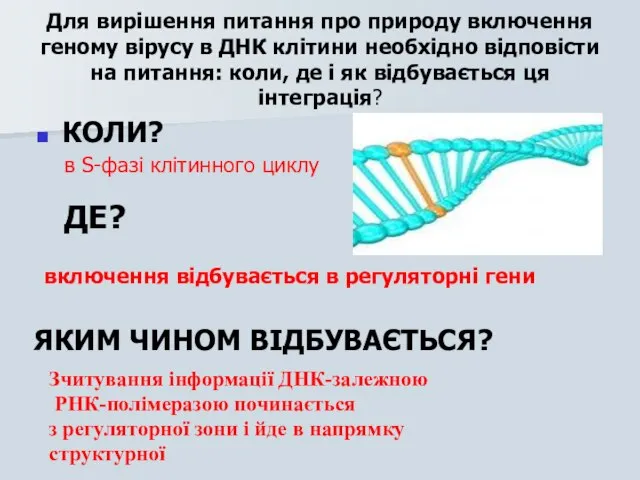 Для вирішення питання про природу включення геному вірусу в ДНК клітини