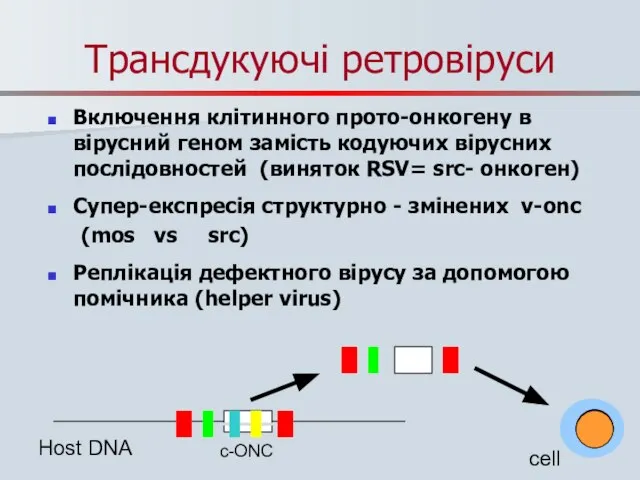 Трансдукуючі ретровіруси Включення клітинного прото-онкогену в вірусний геном замість кодуючих вірусних