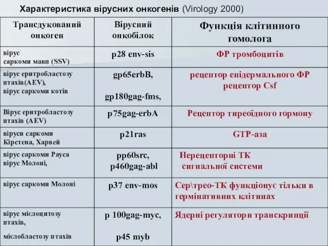 Характеристика вірусних онкогенів (Virology 2000)