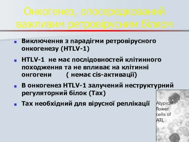 Онкогенез, опосередкований важливим ретровірусним білком Виключення з парадігми ретровірусного онкогенезу (HTLV-1)