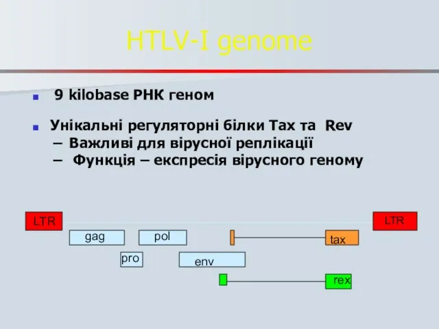 HTLV-I genome 9 kilobase РНК геном Унікальні регуляторні білки Tax та