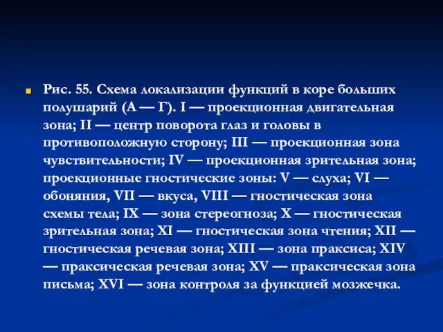 Рис. 55. Схема локализации функций в коре больших полушарий (А —