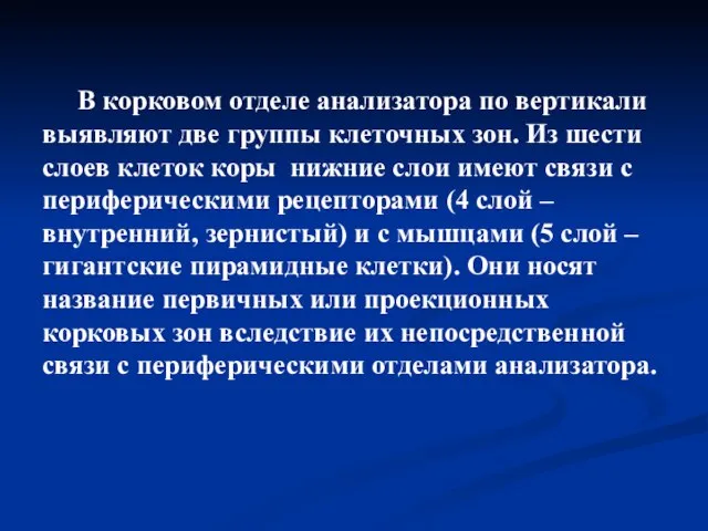 В корковом отделе анализатора по вертикали выявляют две группы клеточных зон.