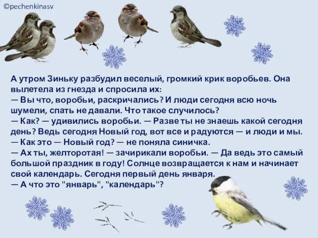 А утром Зиньку разбудил веселый, громкий крик воробьев. Она вылетела из