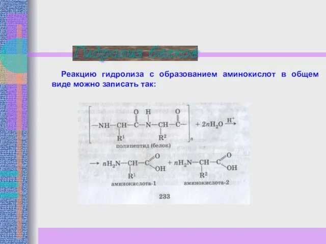 Реакцию гидролиза с образованием аминокислот в общем виде можно записать так: Гидролиз белков