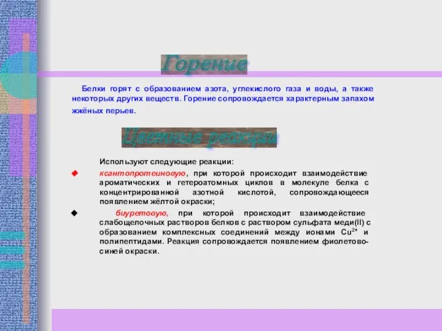 Белки горят с образованием азота, углекислого газа и воды, а также